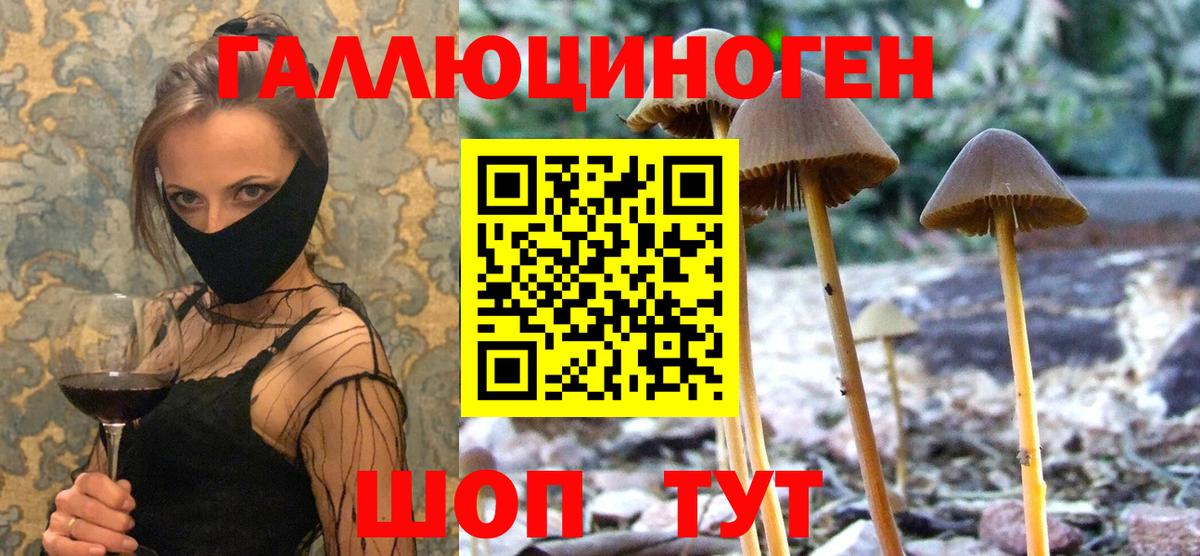 Новоуральск  Галлюциногенные грибы мухоморы  Псилоцибиновые грибы мицелий  наркота  Вход с VPN 